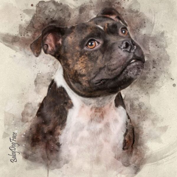 Retrato de Mascota Personalizado